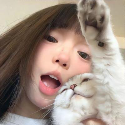 猫之茗第二季