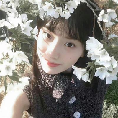 咒怨:终结的开始